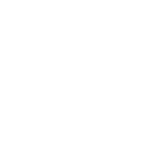 Lake Life logo2 white